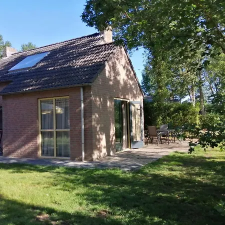 6 - Persoons Forest Vip 103 *