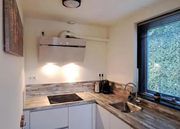 Casa de Férias 6 - Persoons Forest Vip 103 Ewijk