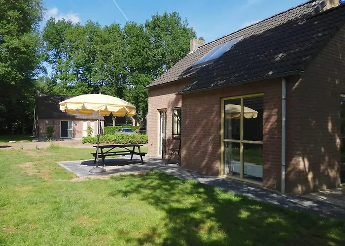 6 - Persoons Forest Vip 103 *