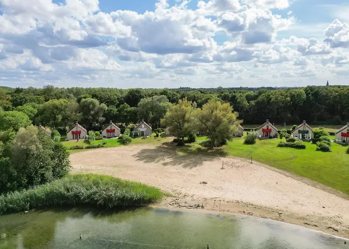 6 - Persoons Forest Vip 103